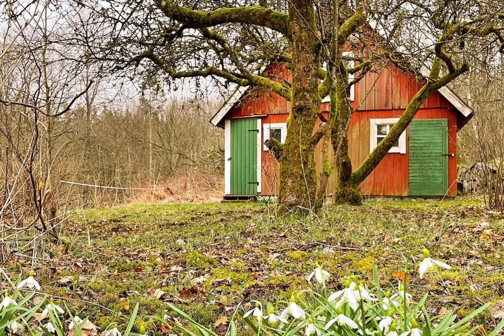 4 person holiday home in SÖLVESBORG-By Traum