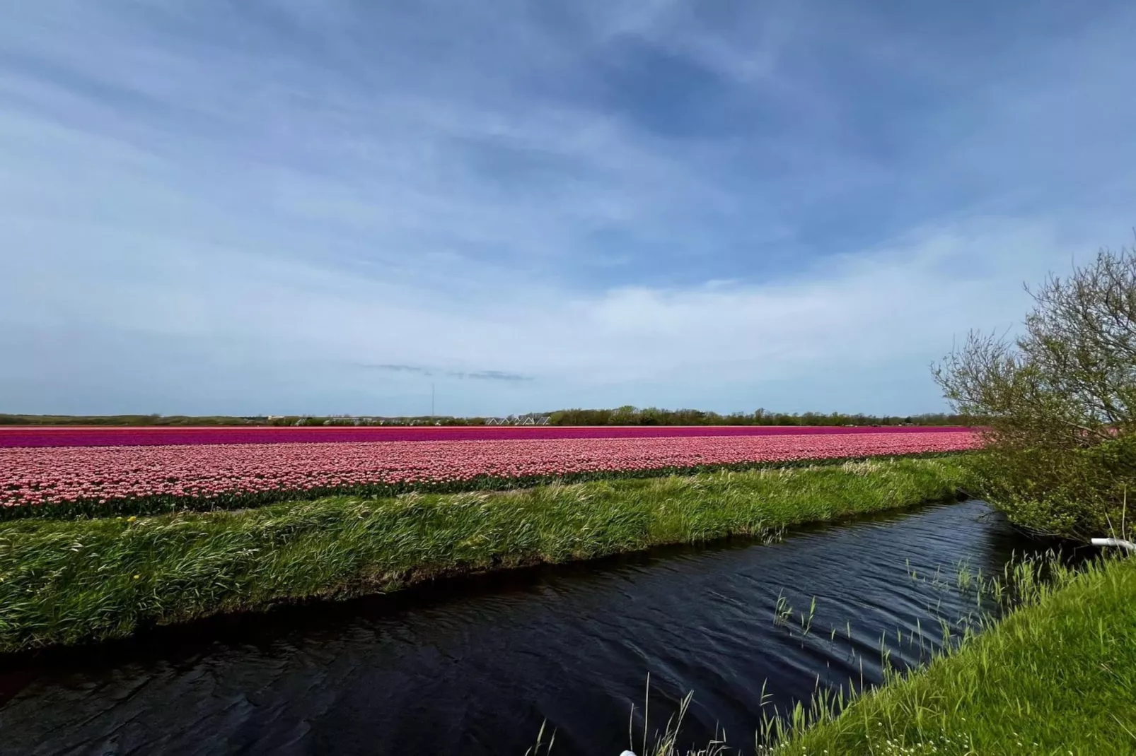 De Schelp 27-Areas summer 5km