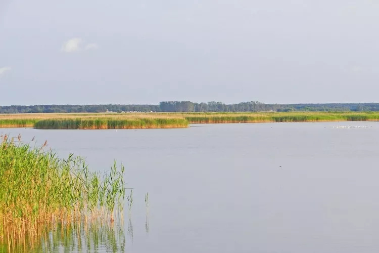 Floating House 1 - Classic / 4 Personen-Areas summer 1km