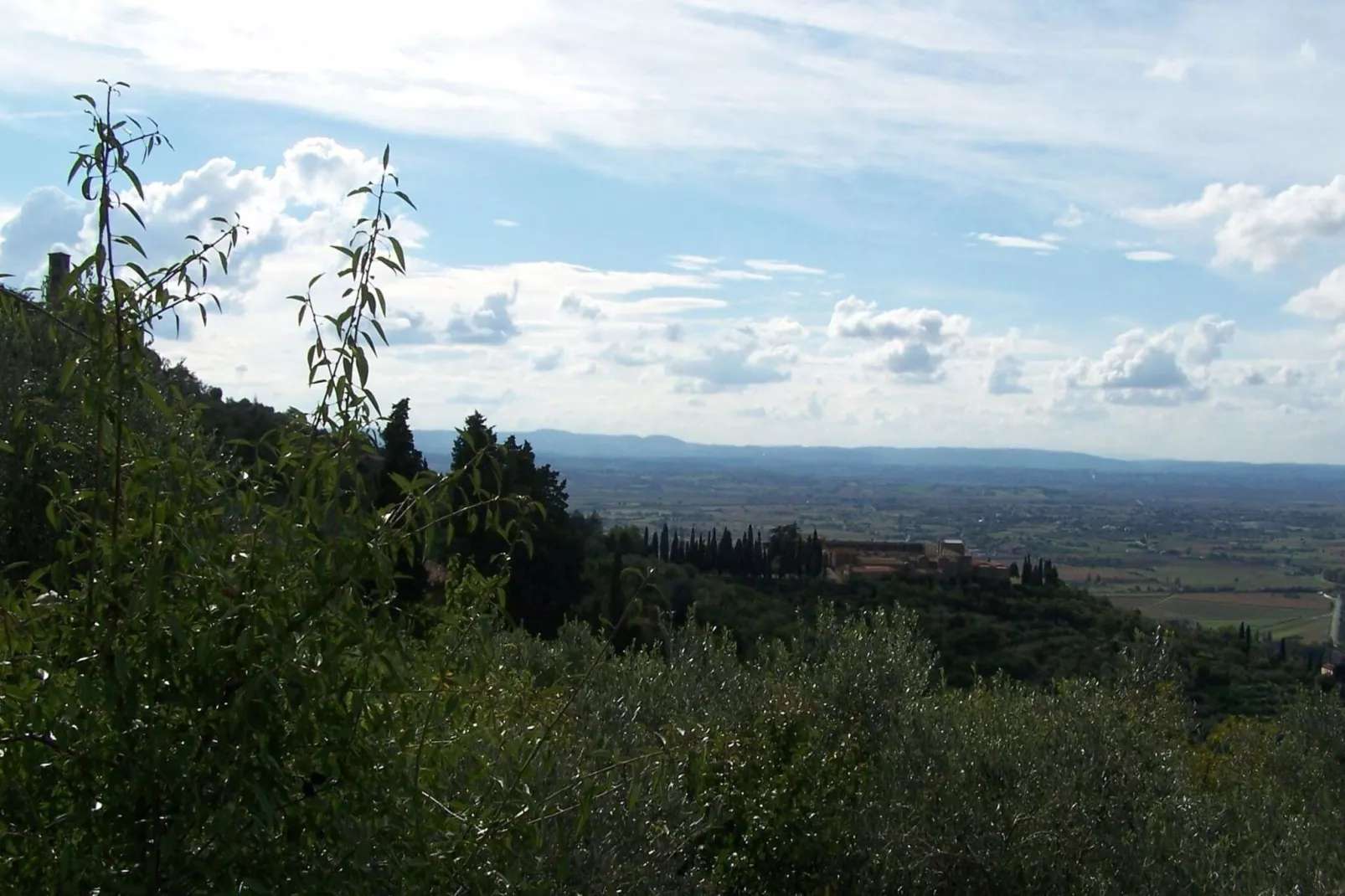 Orangerie degli Ulivi-Vue d'été