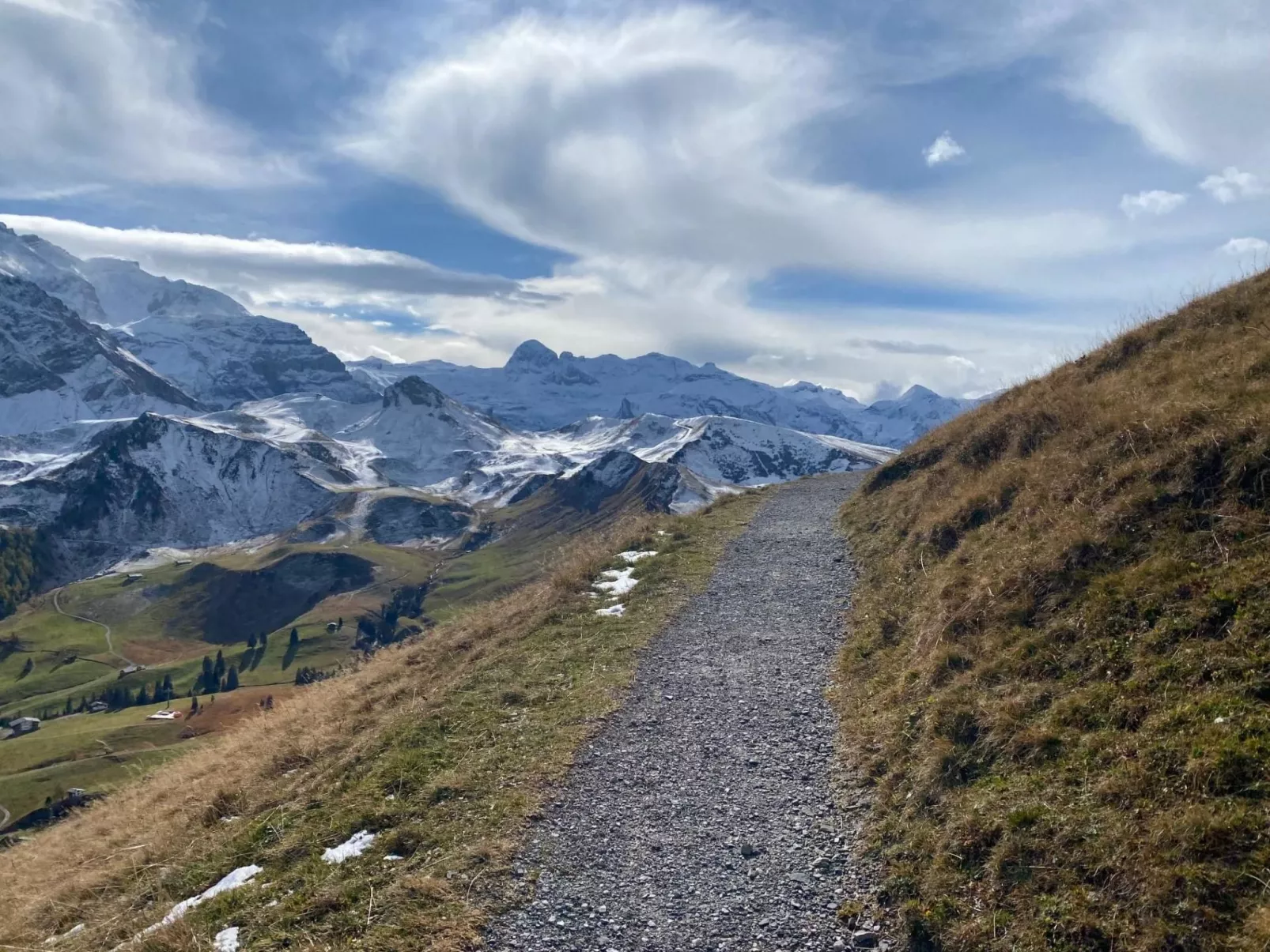 Alpenrose-Dehors