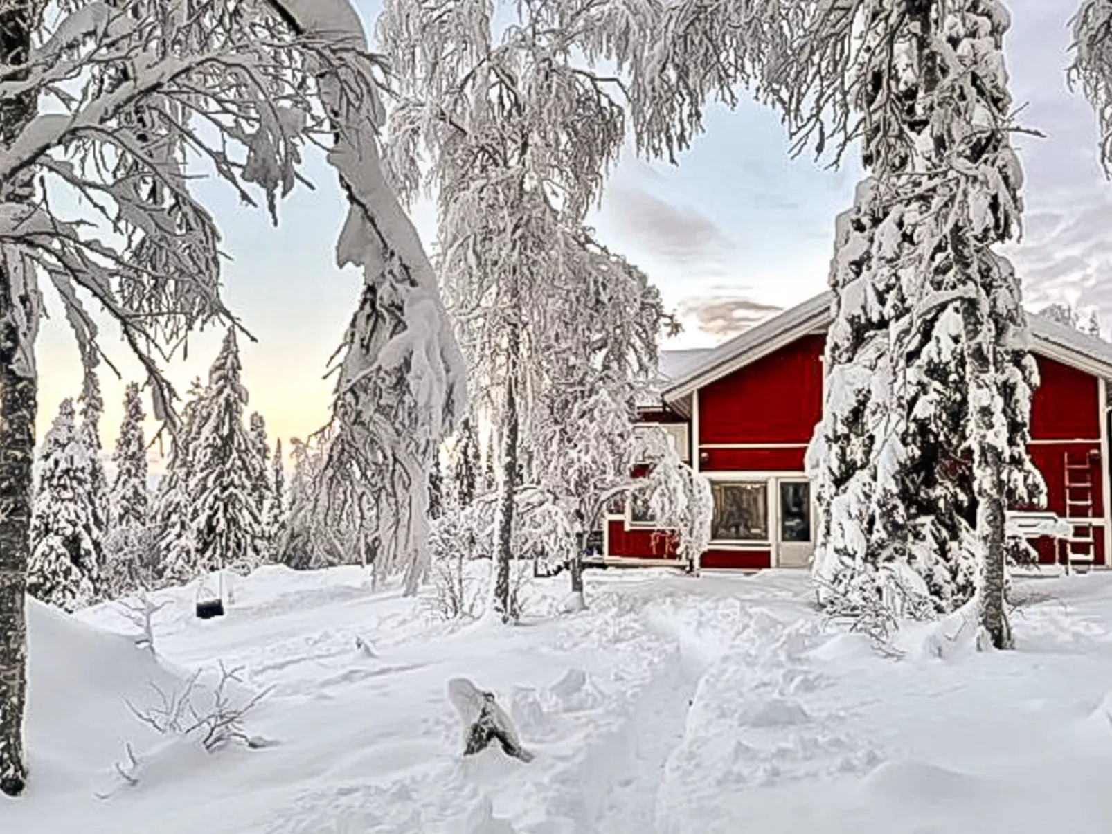 Pallaksen valkkorinne-Outside