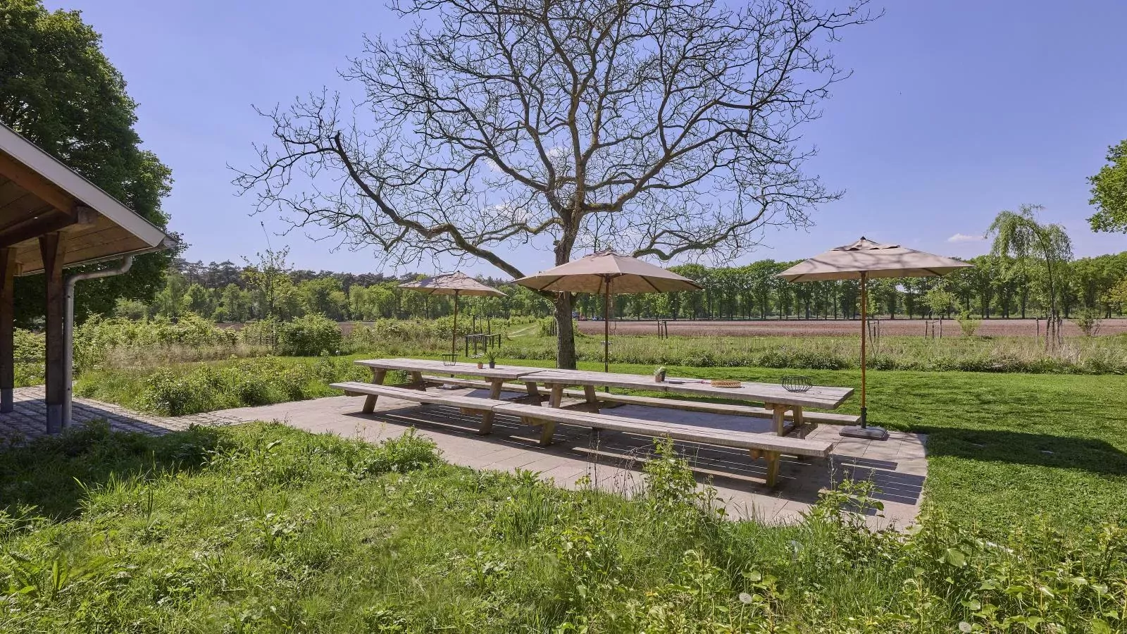 Villa Lactea-Gardens summer