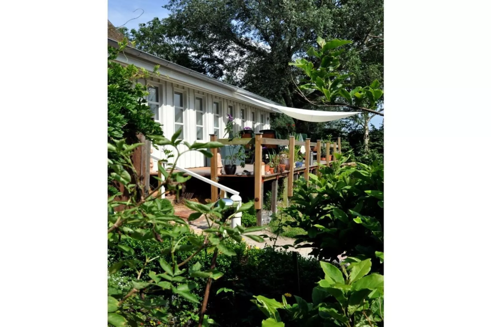 66769-Exterior summer