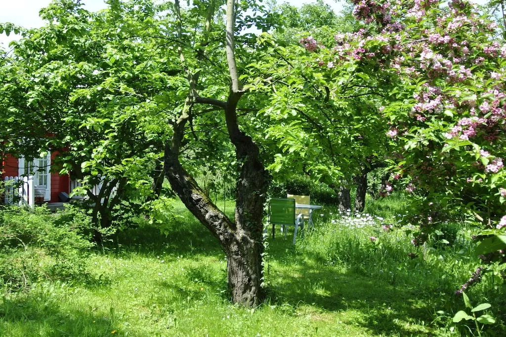 37045-Nicht getaggt