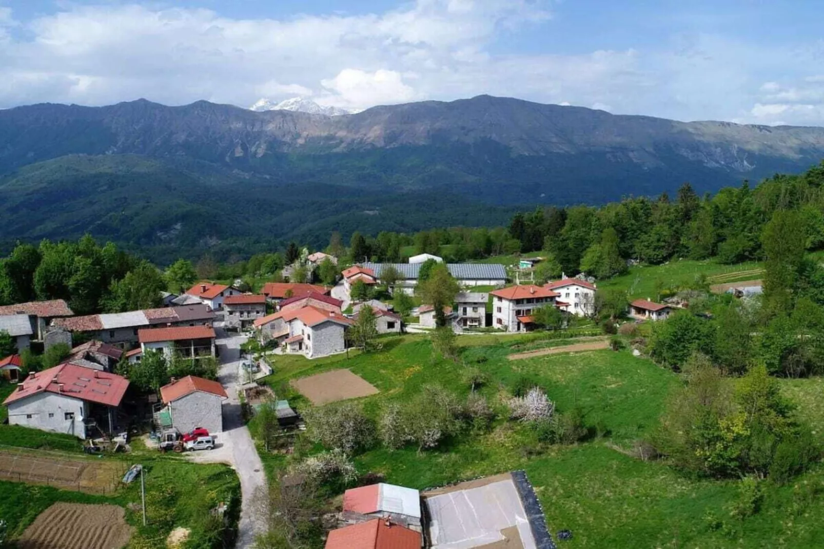 299771-Areas summer 1km