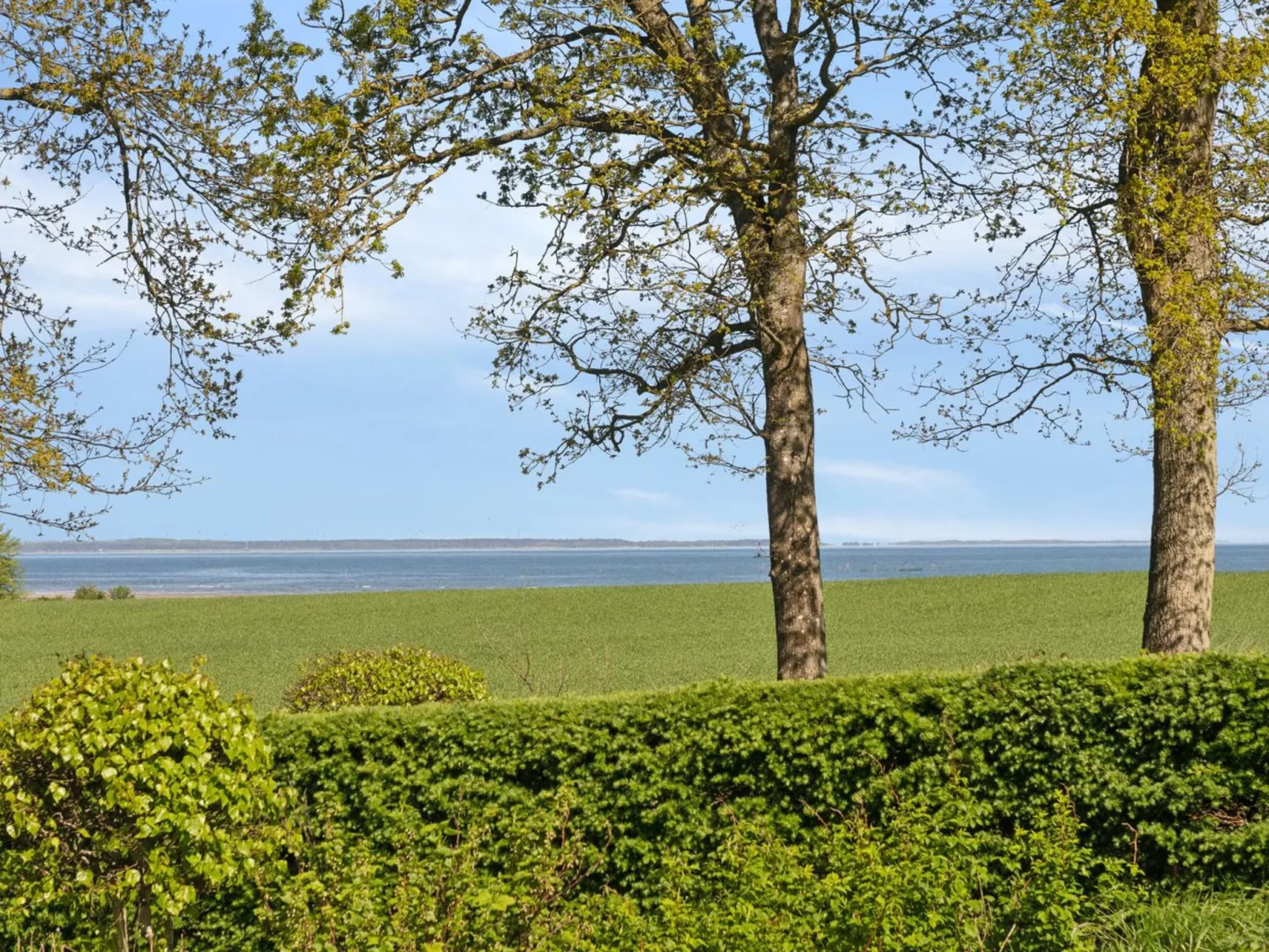 "Todor" - 400m from the sea-Draußen