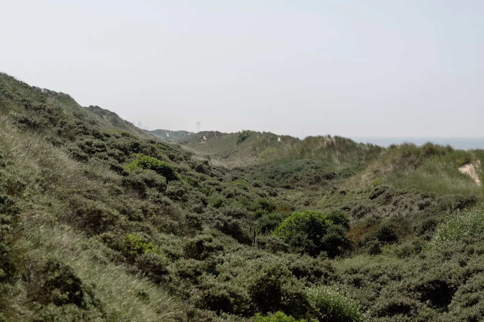 RESIDENTIE ANDREWS 0401-Areas summer 5km