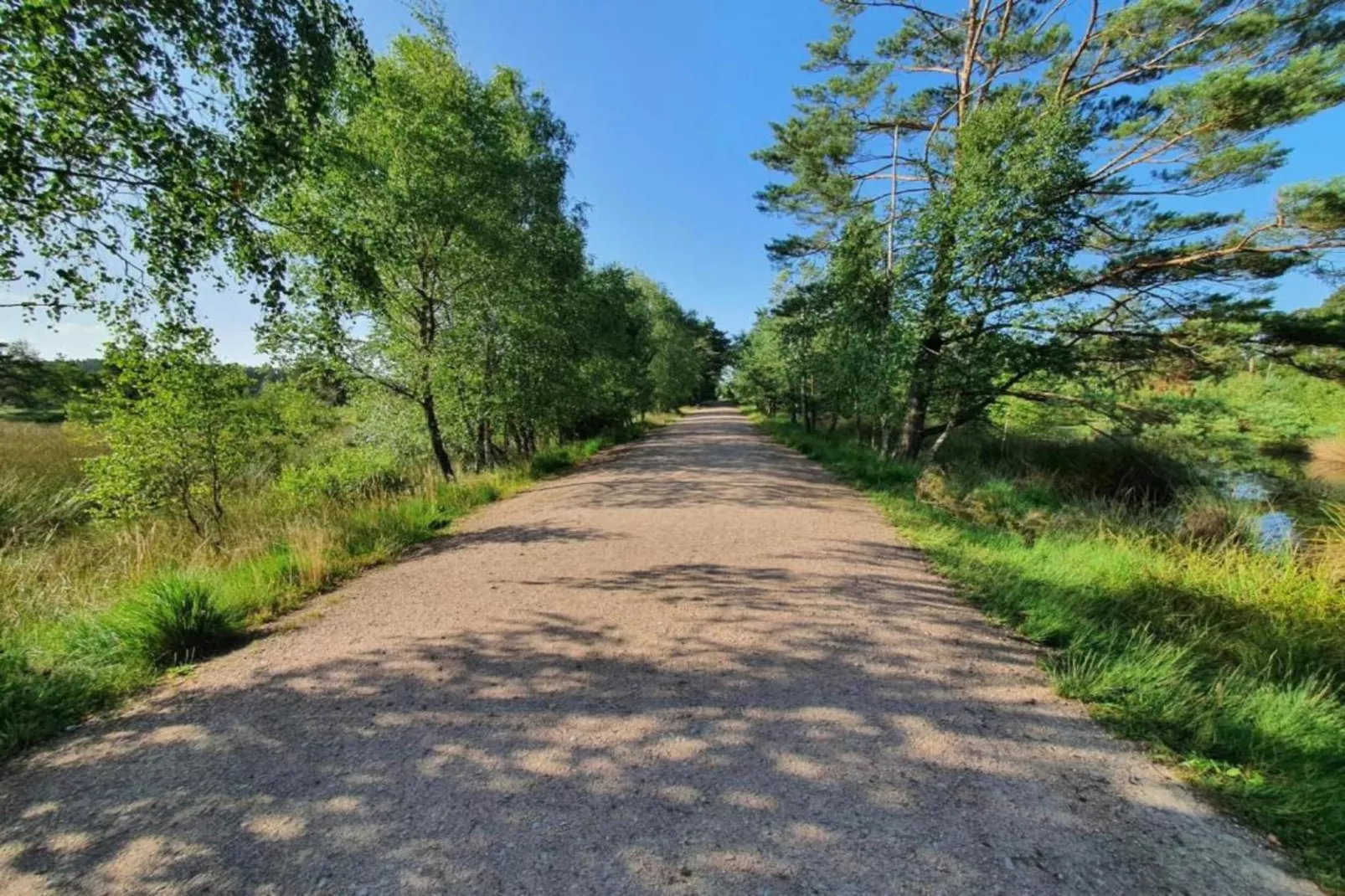 Waldsuite-Areas summer 5km