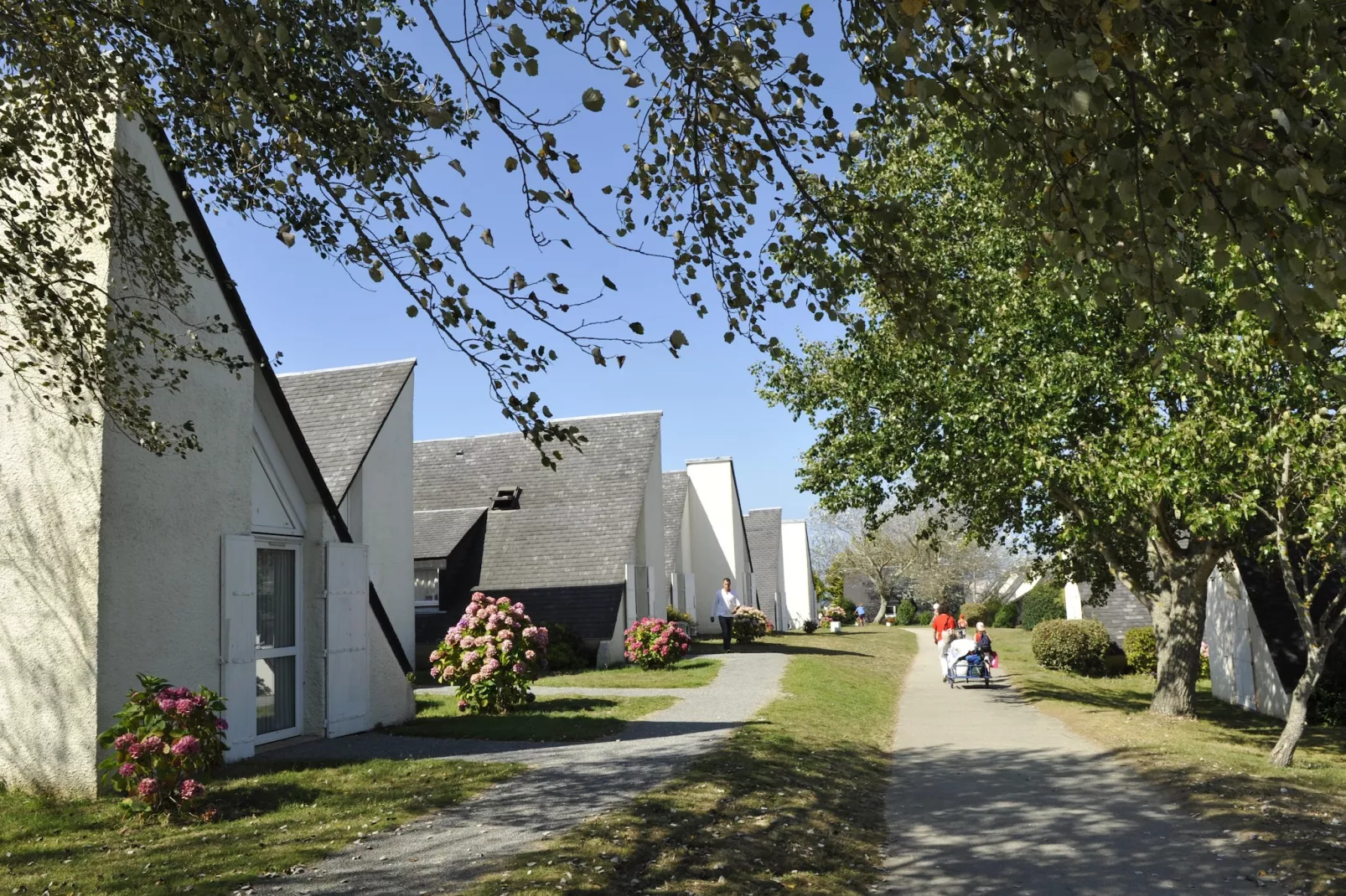 Gîte 4 Pièces 8 Personnes 1 bébé 2 salles d'eau-Exterior summer