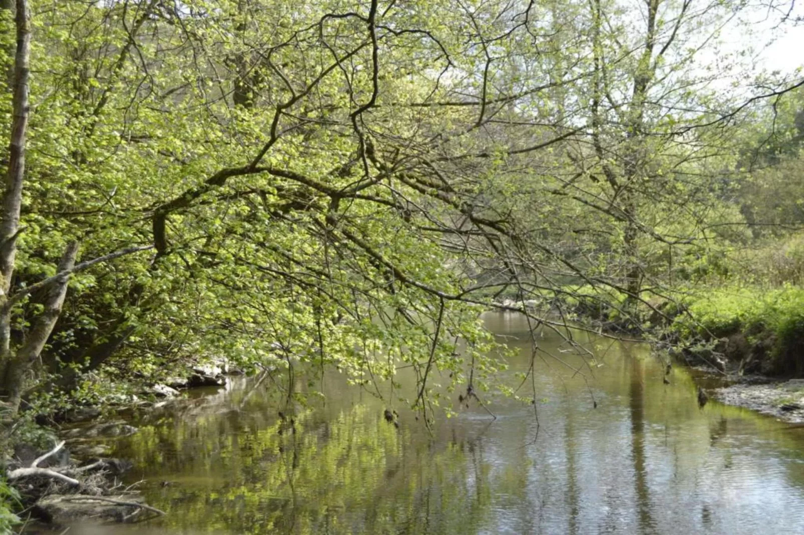 De oude stal-Areas summer 20km