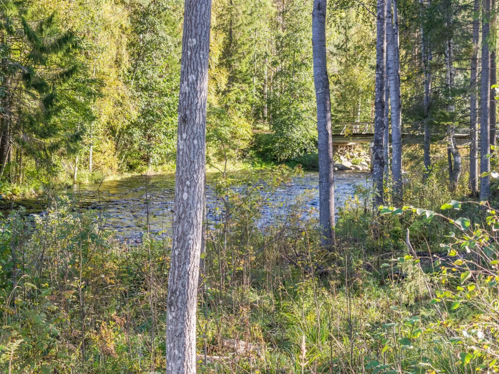 Koskisaari, vaikon loma 2-Draußen