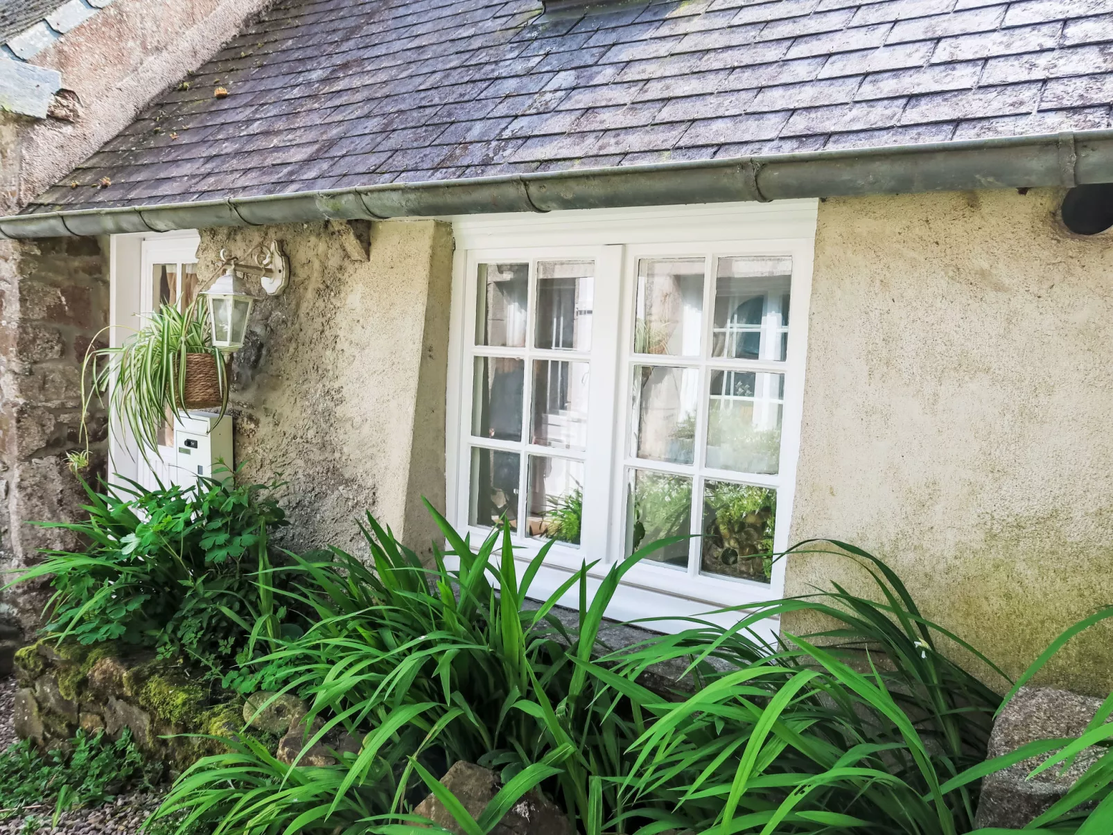 Gwenn Tiny House-Draußen