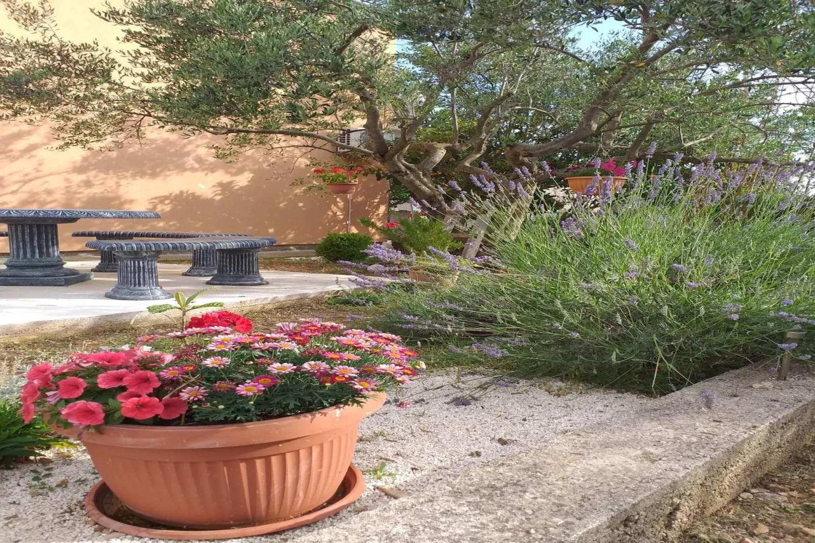 Apartment Ante-Gardens summer