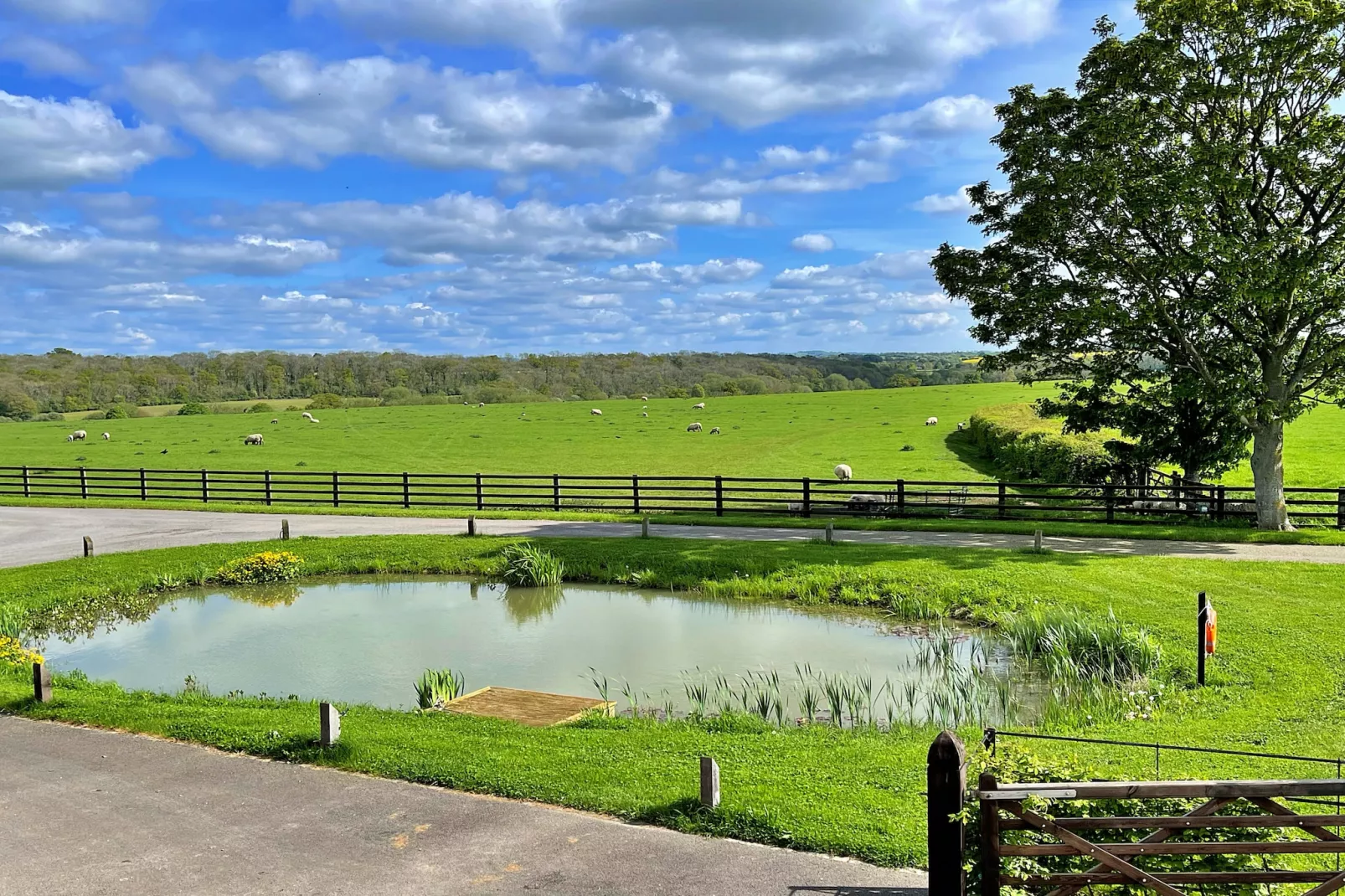 The Piggery-Areas summer 5km
