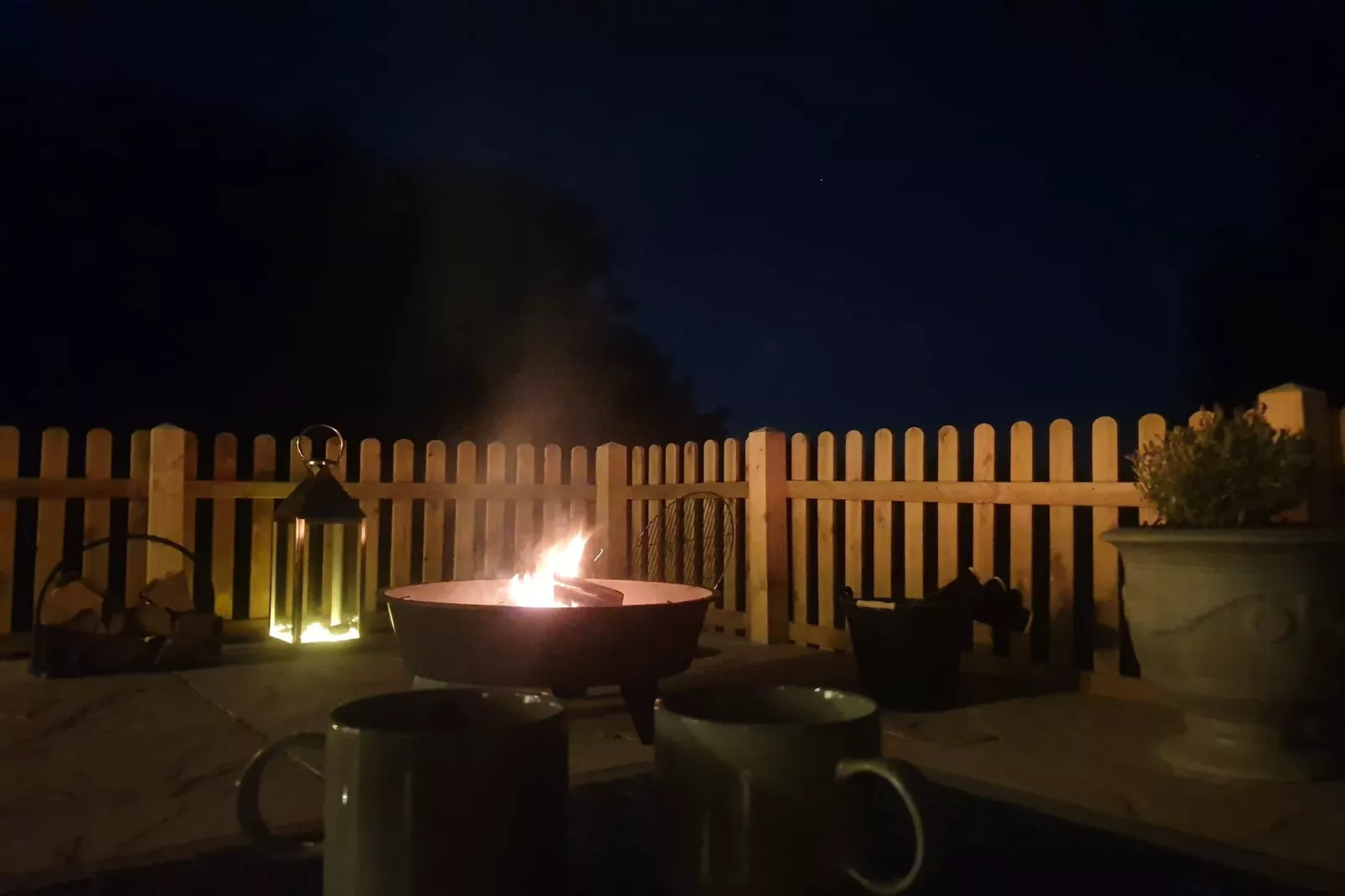 Blackbarn Wood-Gardens summer