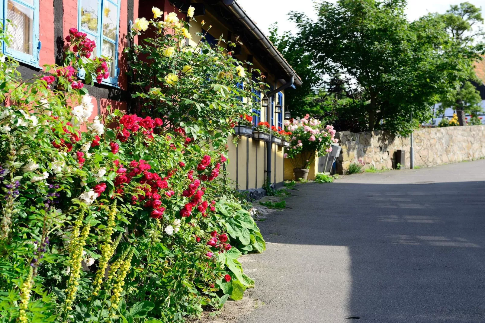 6 Personen Ferienhaus in Allinge-Nicht getaggt