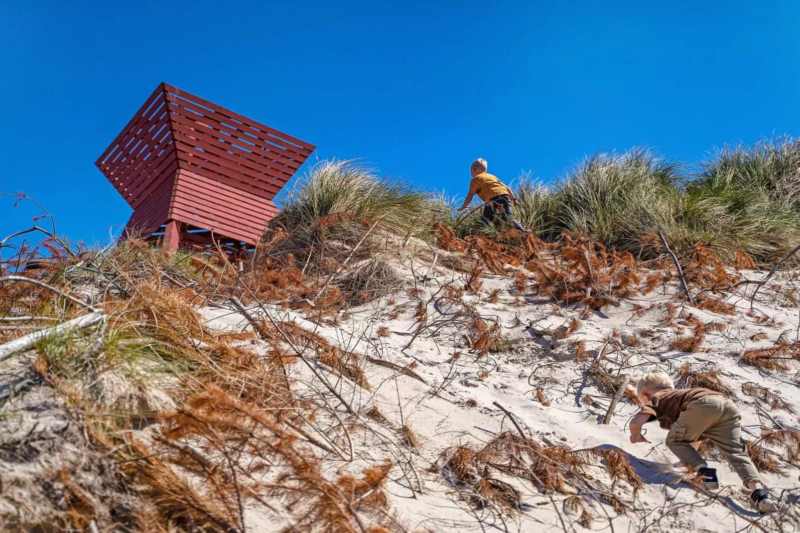 2 room w/seaview-Untagged