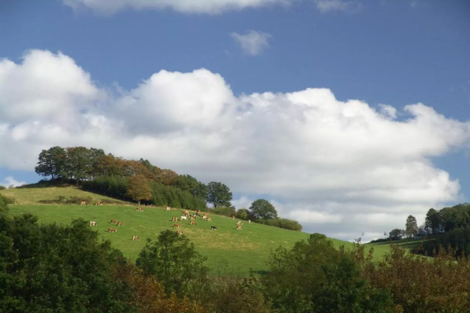 Freiblick-Areas summer 20km