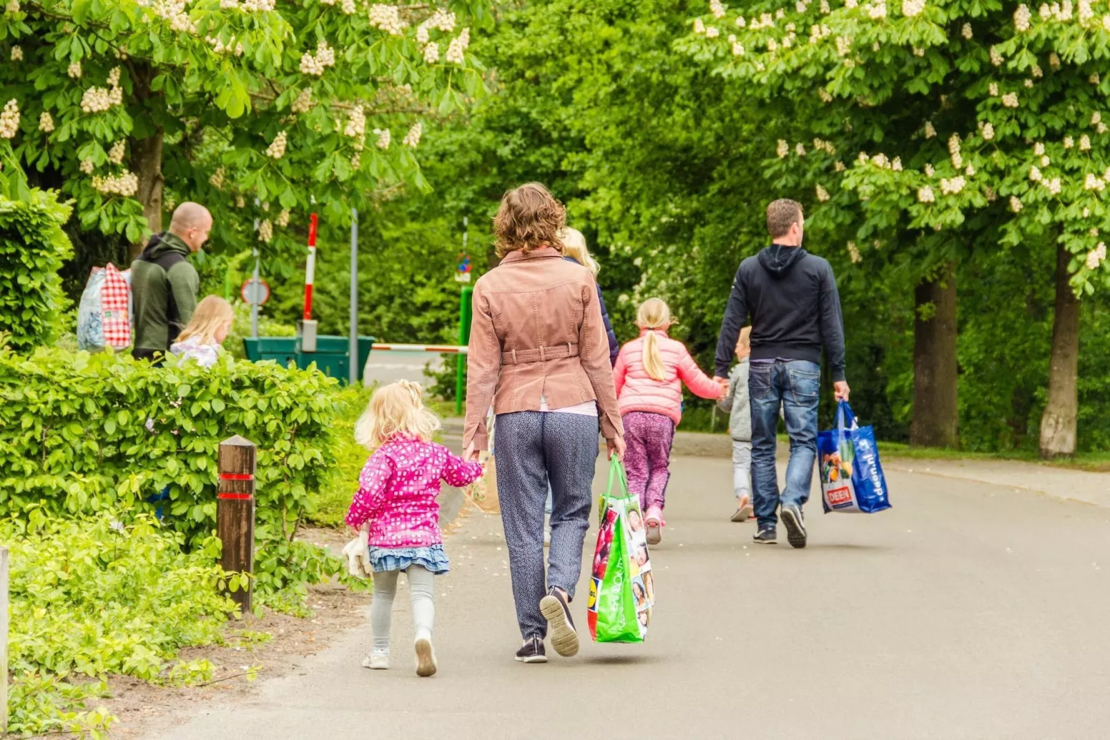 Vakantiepark Emslandermeer 1-Areas summer 1km