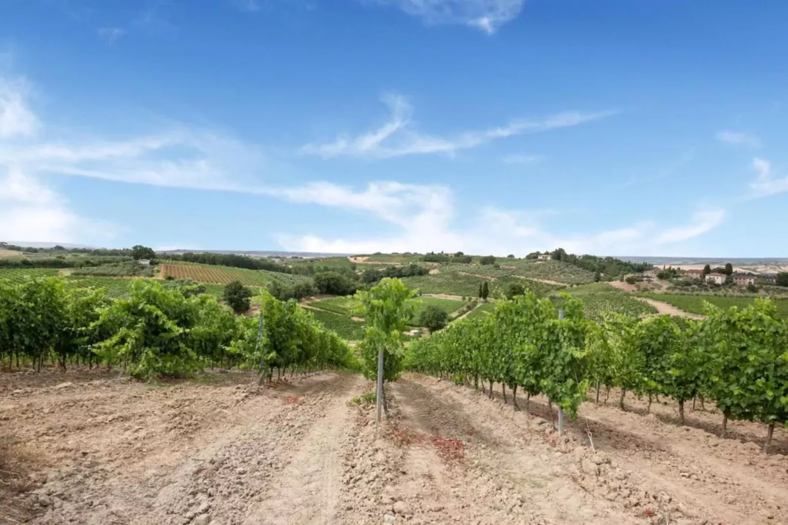 Cipresso-Areas within 20km in summer