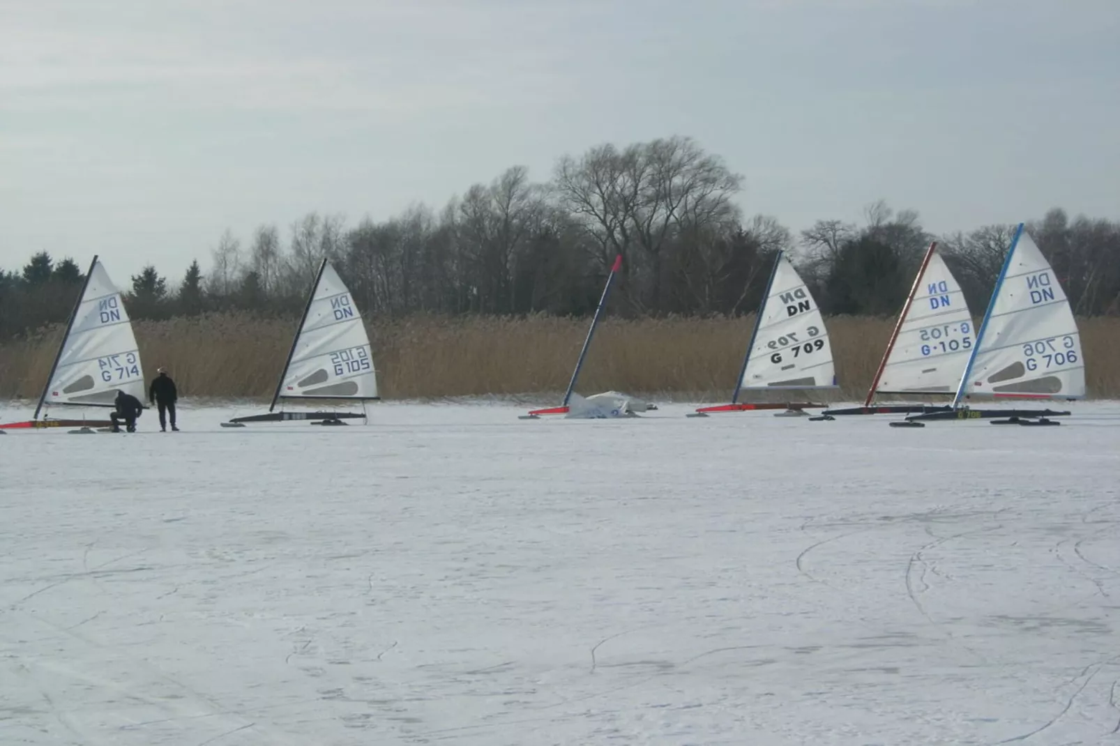 70939-Area winter 5km