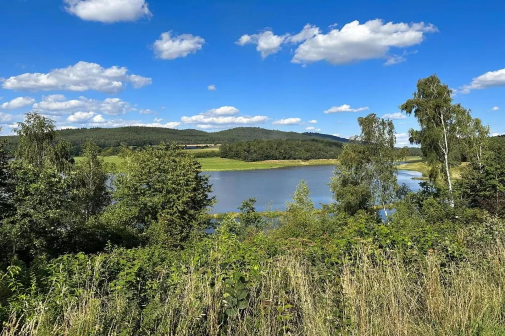 FERIENDORF SEEBLICK - Tiny Chalet am Eixendorfer See-Gebiete Sommer 20 km