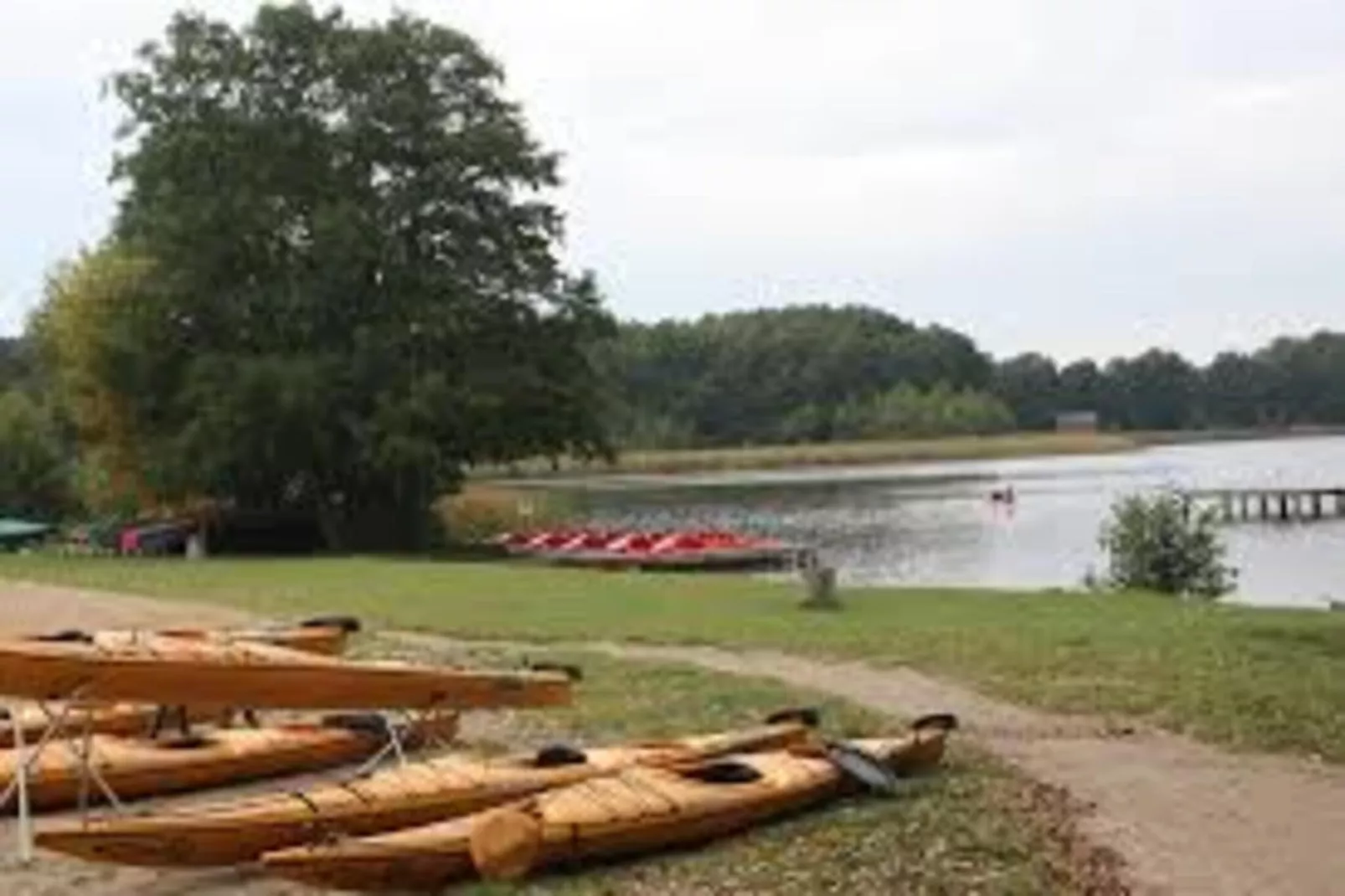 FH Wildgans Comfort mit Sauna & Kaminofen 81 qm 179-Areas summer 5km