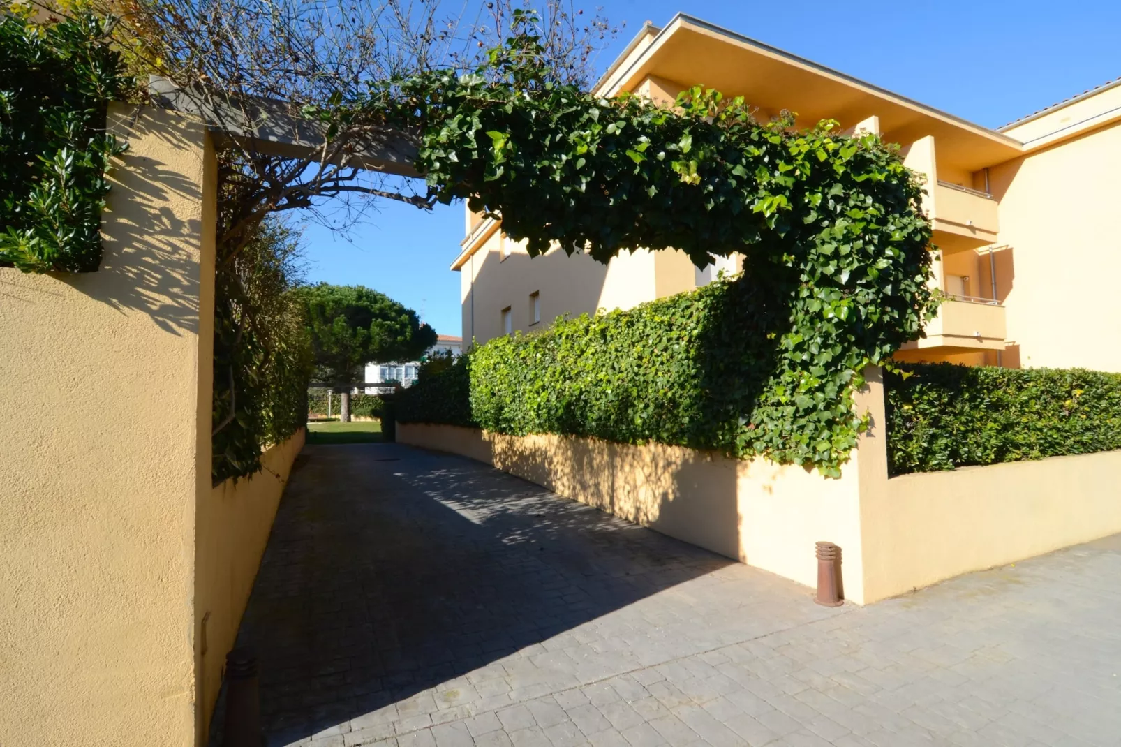 RIELLS BLAU E 202-Outdoor