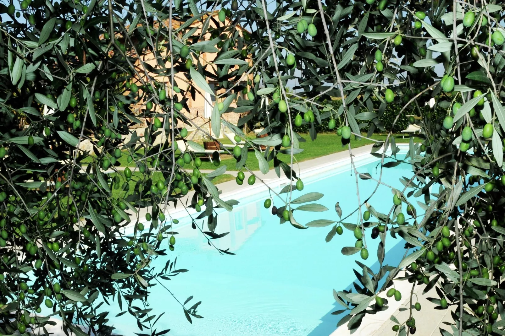 Fiordalisi-Piscine