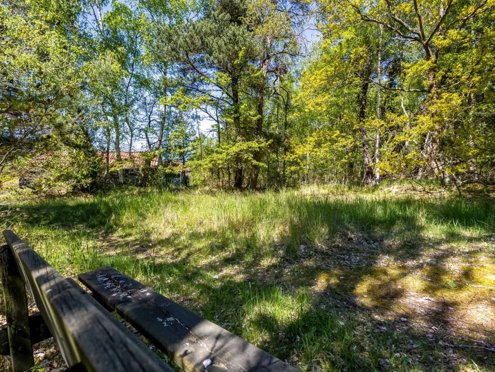 "Alfi" - 300m from the sea-Draußen