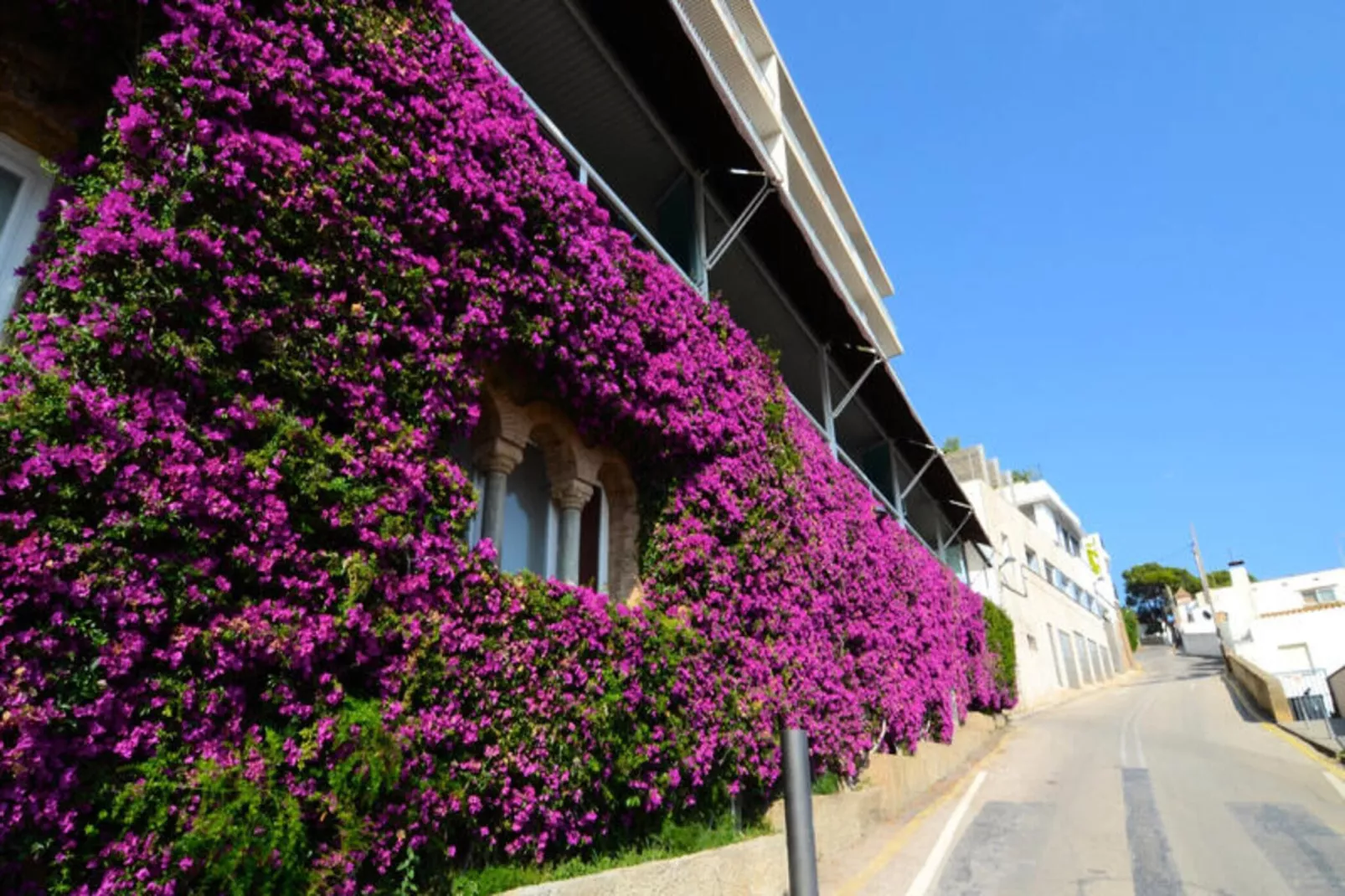 Appartements à L'Estartit-Exterior summer