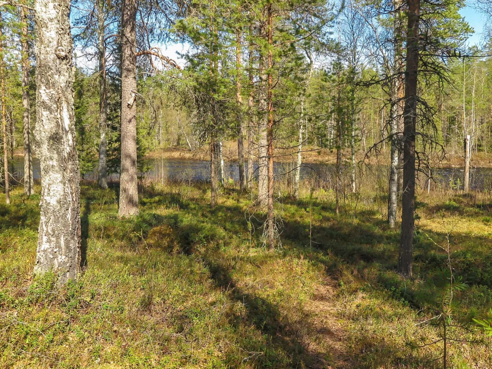 Kulpakko 3-Outside