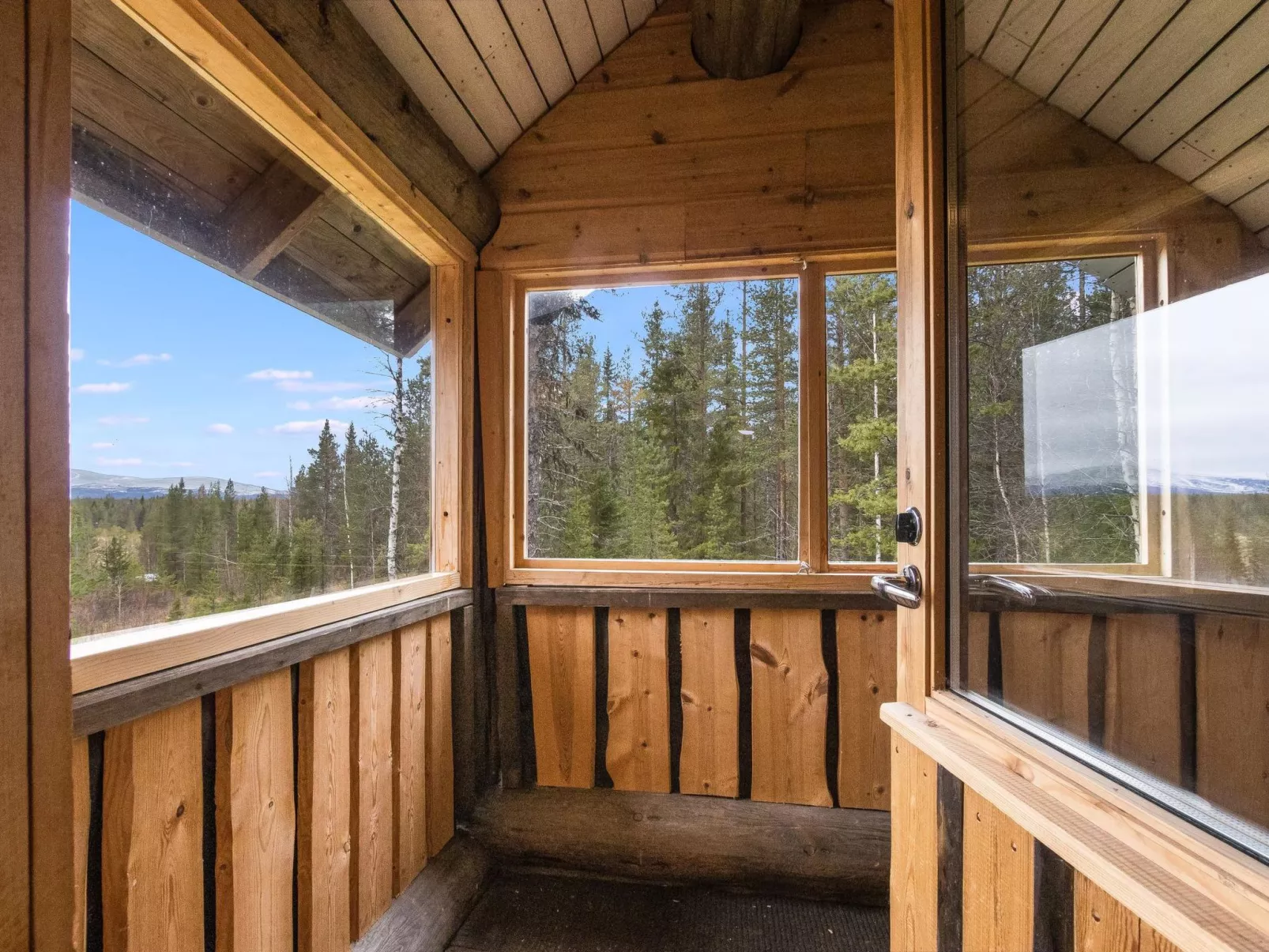 Tunturitähti, lainio-Inside