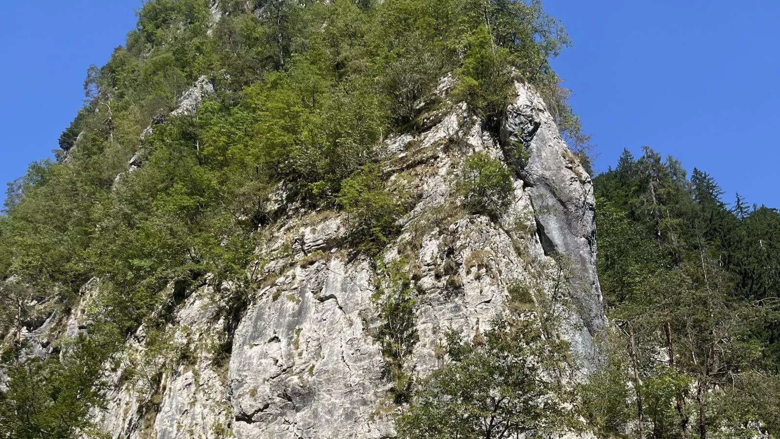 Obermöschach 7A-Gebiete Sommer 5 km