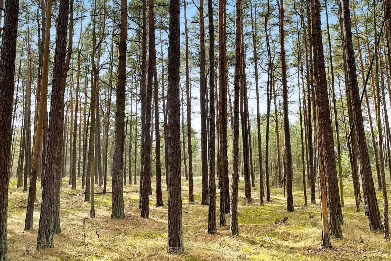 6 person holiday home in YNGSJÖ-By Traum-Not tagged