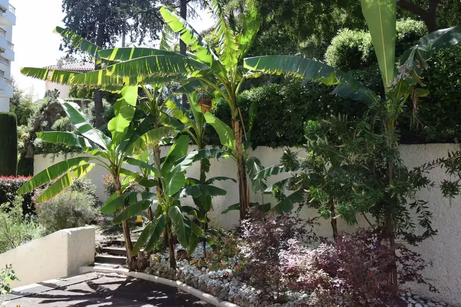 Vue Mer à Golfe-Juan Proche Cannes Plage et Garage-Gardens summer