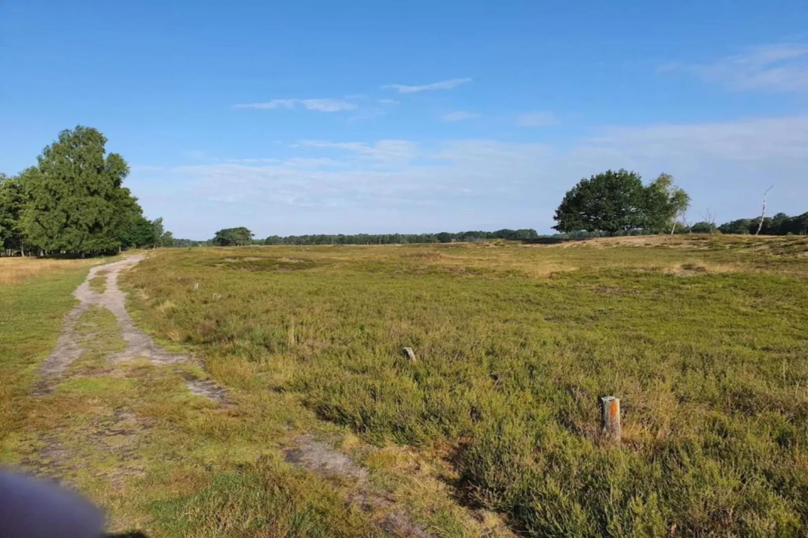 Waldsuite-Areas summer 5km