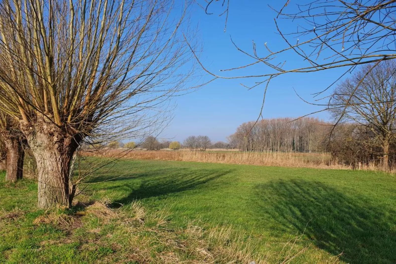 De woelige stal-Areas summer 20km