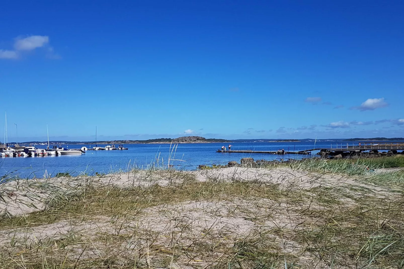 4 Sterne Ferienhaus in Åsa-Nicht getaggt
