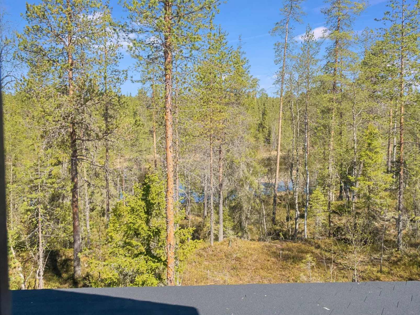 Kiehtäjän lahti-Inside