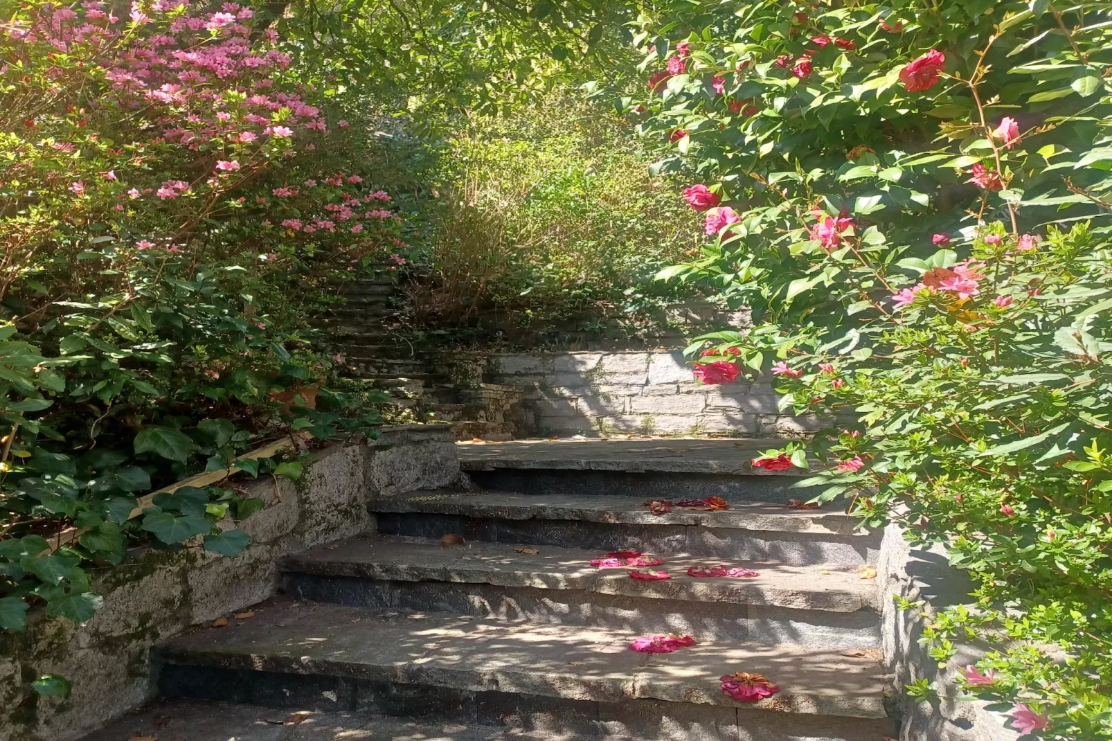 Casa Adele Ghiffa 6-Gardens summer