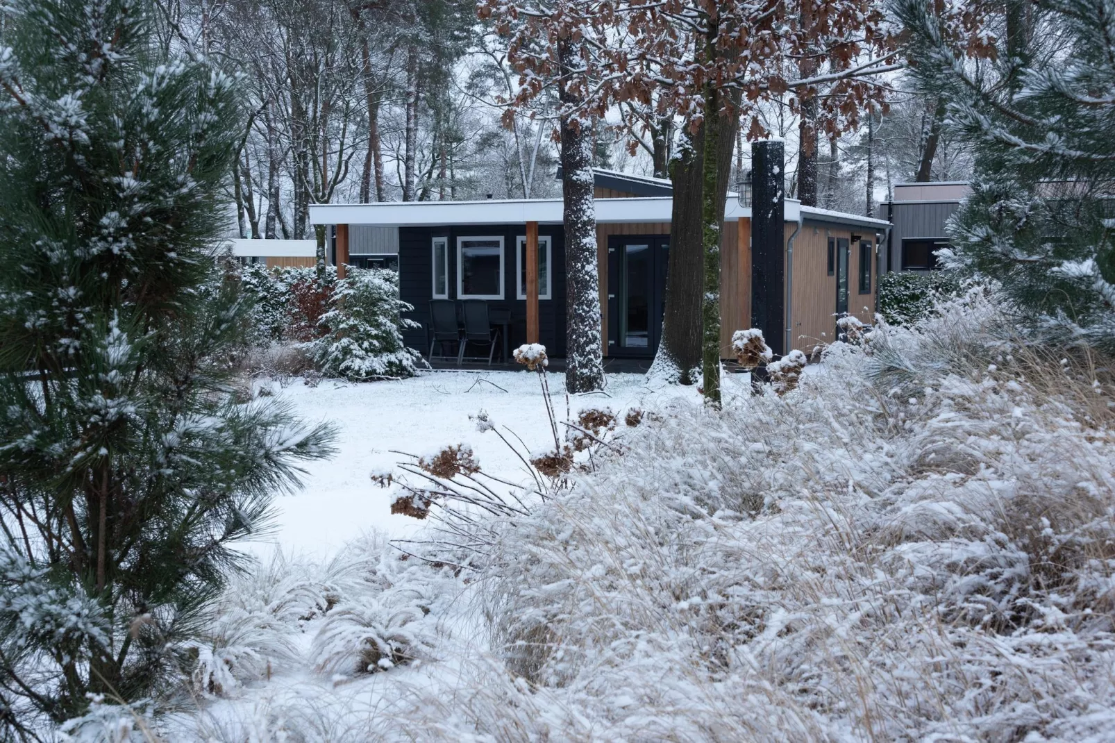 Parkchalet | 2 - 4 pers.-Außenbereich Winter