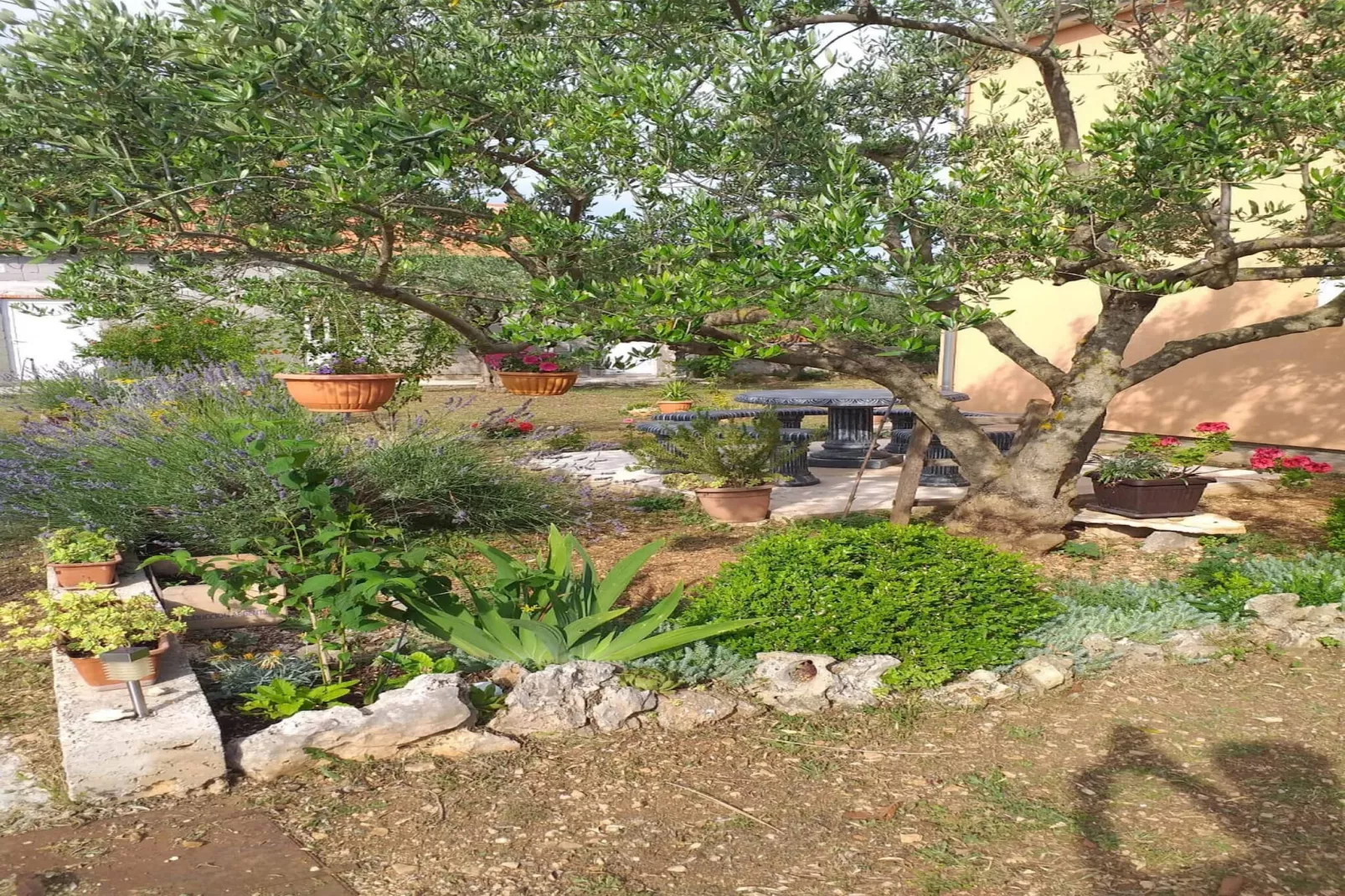 Apartment Ante-Gardens summer