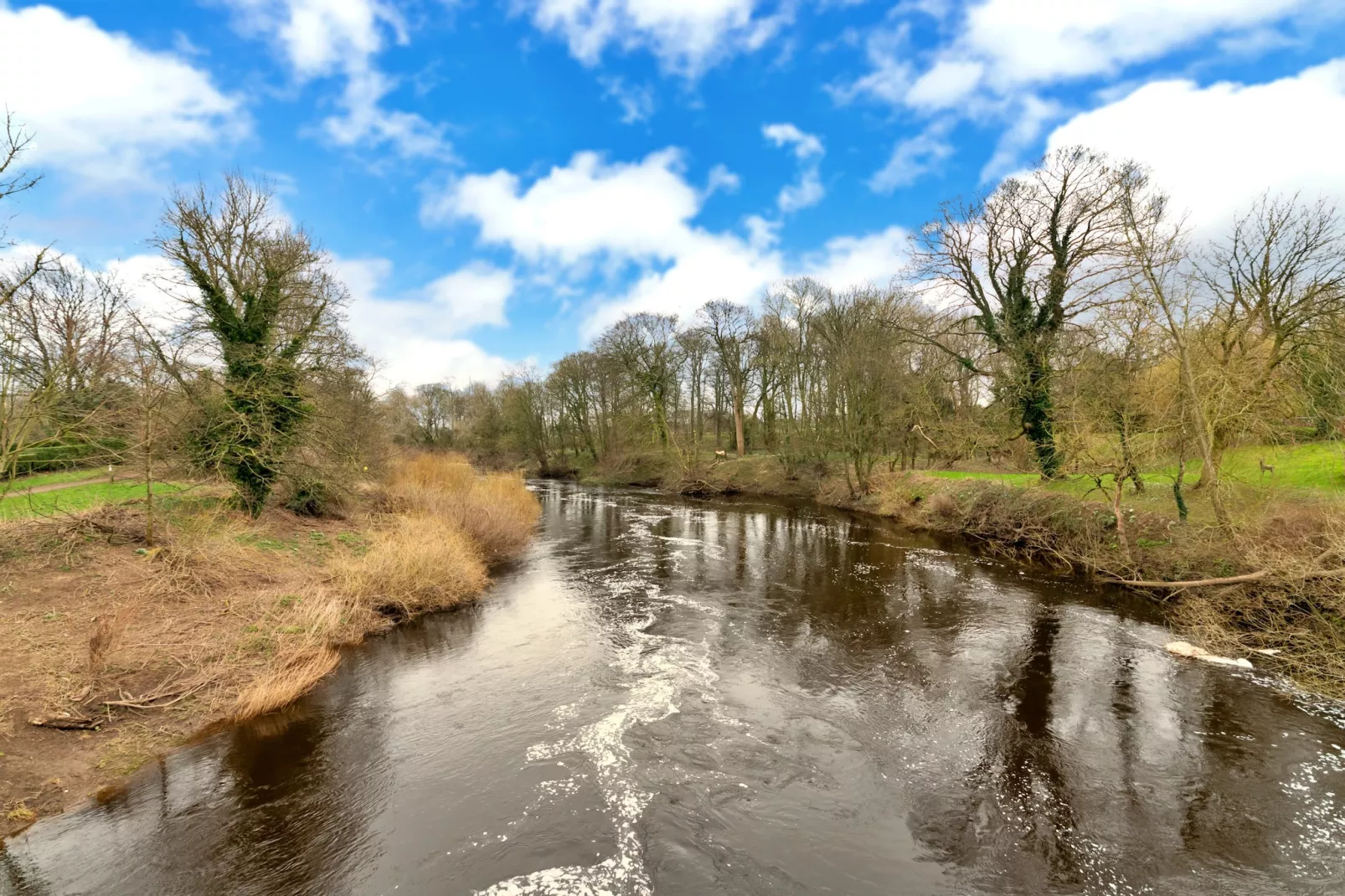 The Bank House-Areas summer 1km