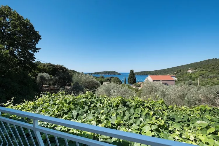 Apartments Saulan - One Bedroom Apartment with Balcony and Sea View (Molunat)-View