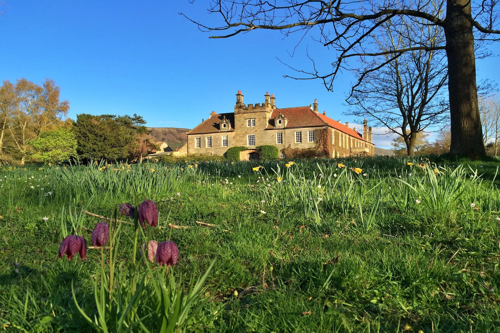 Ingleby Manor - Manor Cottage-Outdoor