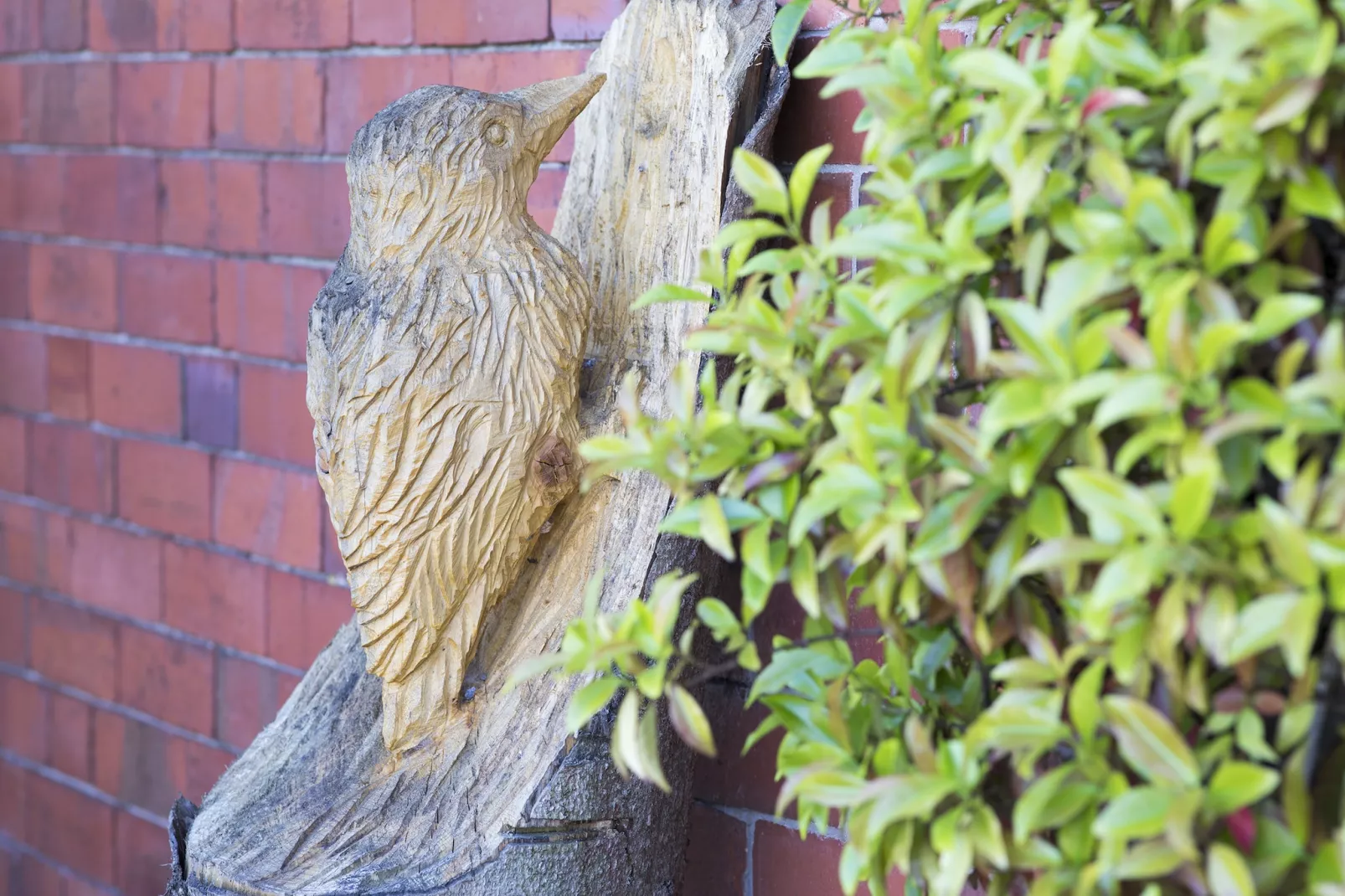 Woodpecker Cottage-Jardin d'été