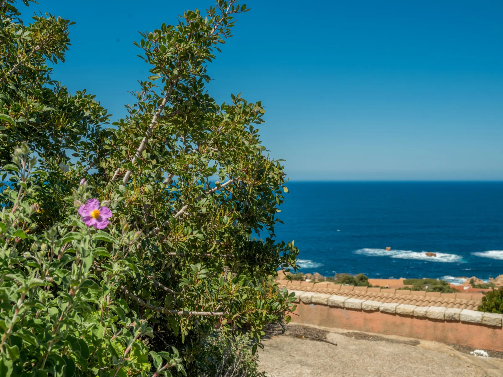 Villa Ilaria-Dehors