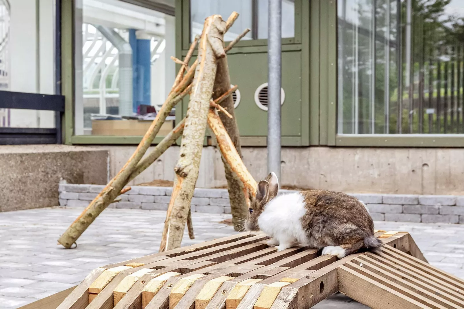 Maison de vacances pour 6 dans un parc de vacances a Hanstholm-Non étiqueté